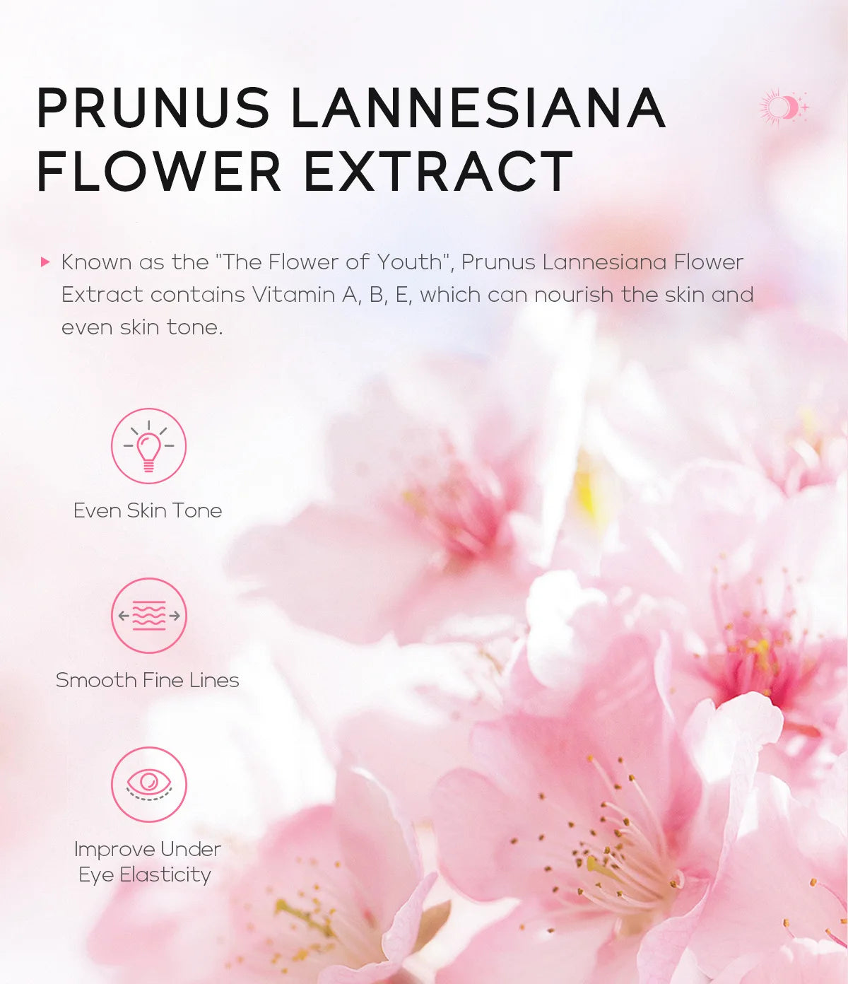 LAIKOU Sakura Eye Cream Dark Circles Anti Eye Bags Day and Night Moisturizing Eye Serum Refreshing Firming Eyes Skin Care 20g