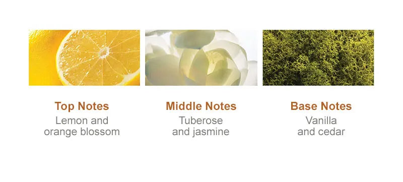 PURC Morocco Argan Oil Shampoo Conditioner Set Amino Acid Keratin Smoothing Repair Damaged Hair Treatment Sulfate-Free Hair Care